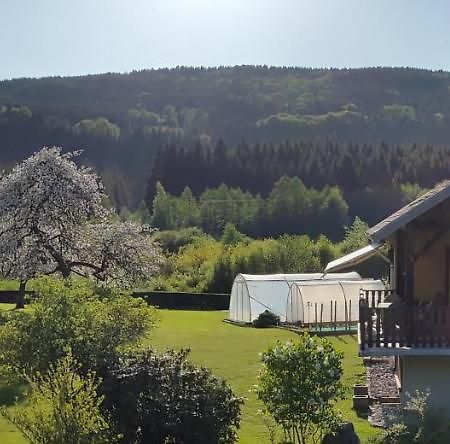 Apartament Les Jumeaux Granges-sur-Vologne Zewnętrze zdjęcie