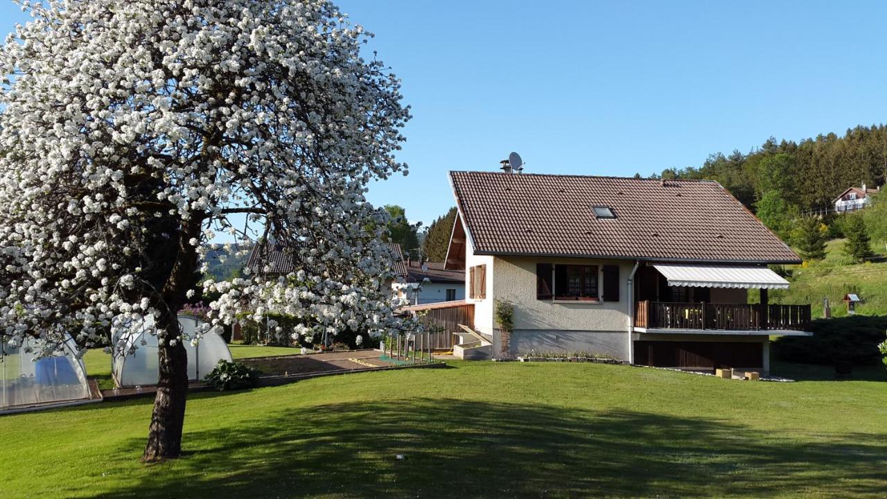 Apartament Les Jumeaux Granges-sur-Vologne Zewnętrze zdjęcie
