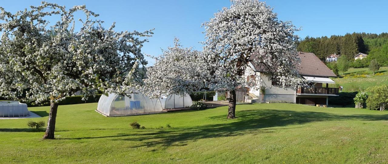 Apartament Les Jumeaux Granges-sur-Vologne Zewnętrze zdjęcie