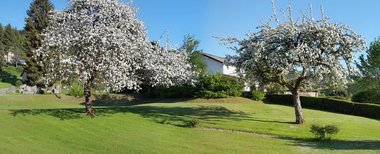 Apartament Les Jumeaux Granges-sur-Vologne Zewnętrze zdjęcie